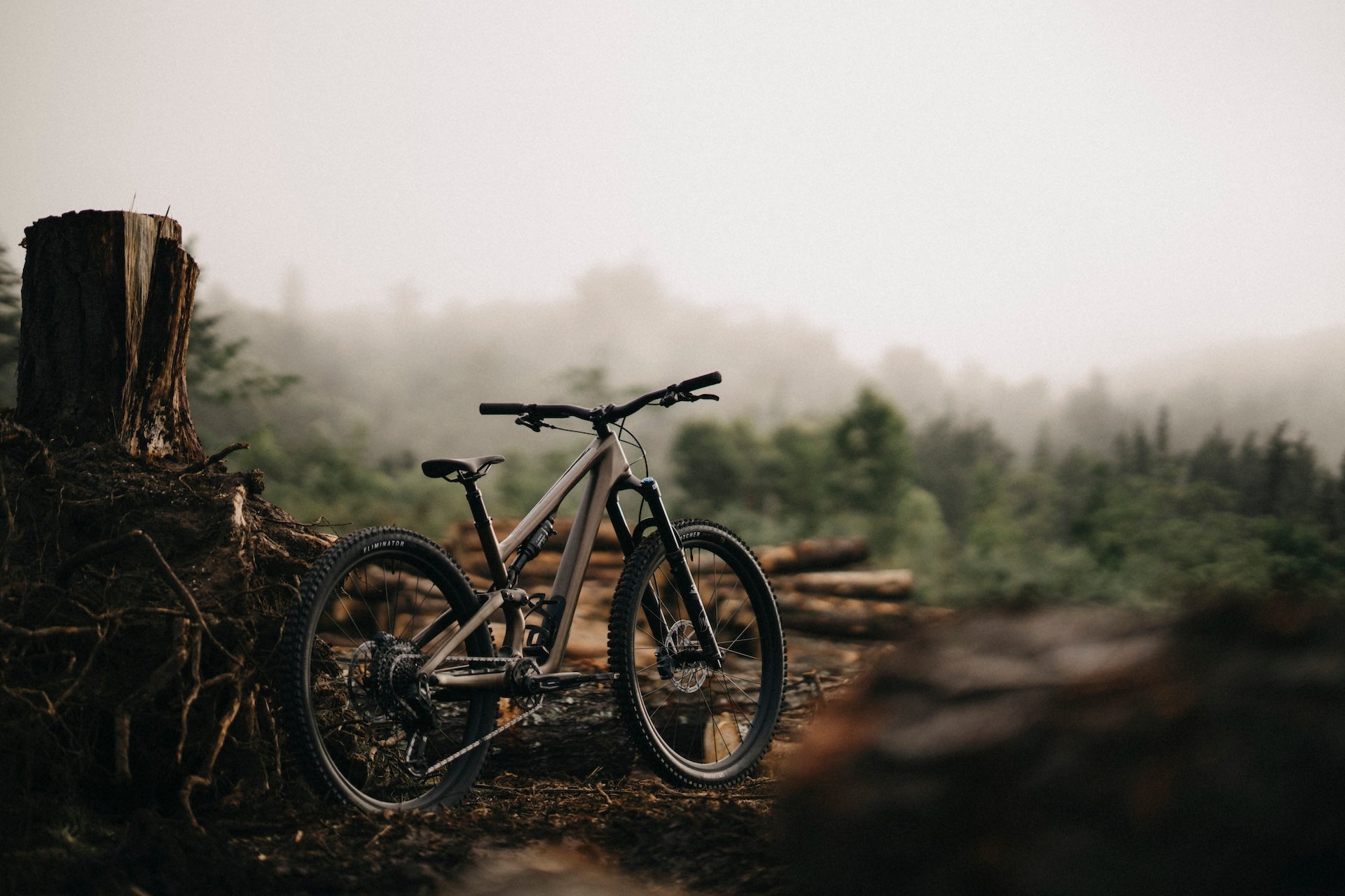 Trail