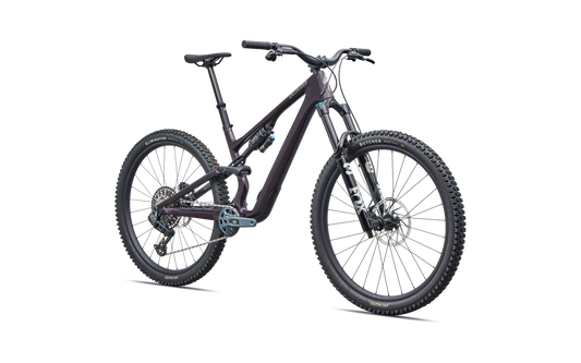 Stumpjumper 15 EVO Expert