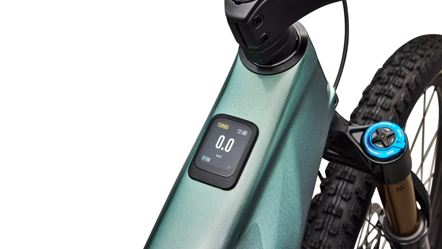 S-Works Turbo Levo R