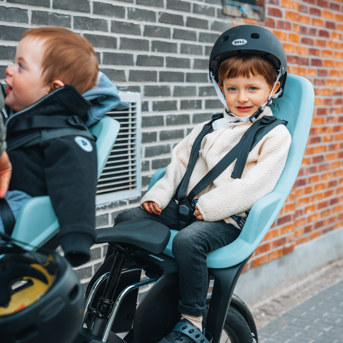 Thule Yepp 2 Maxi Rear Bike Seat