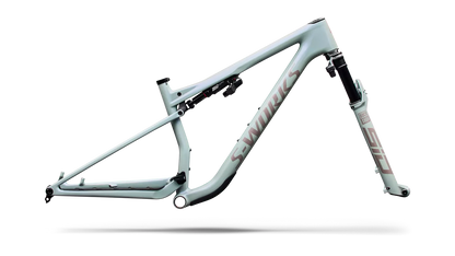 S-Works Epic 9 Frameset