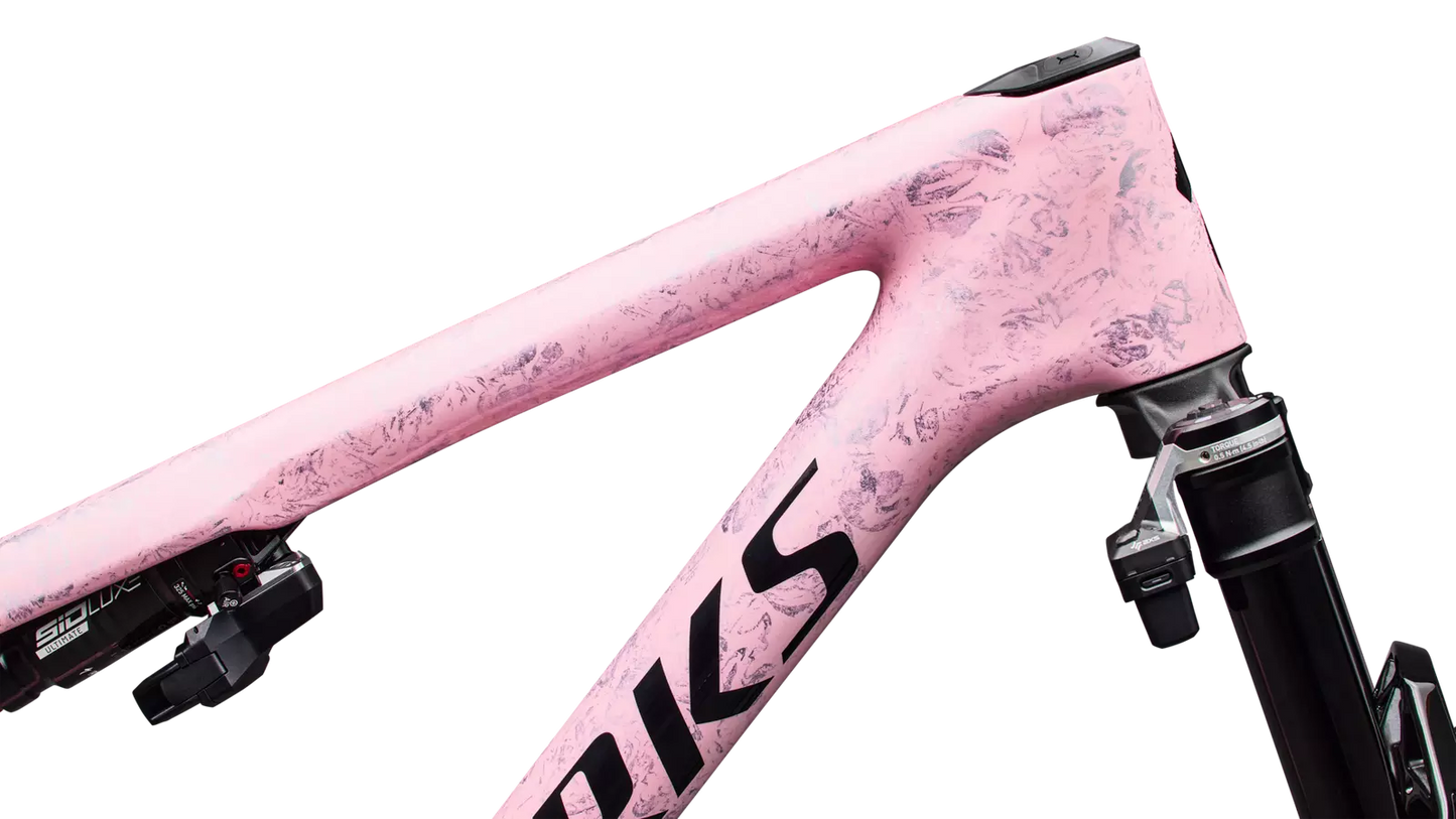 S-Works Epic 9 Frameset
