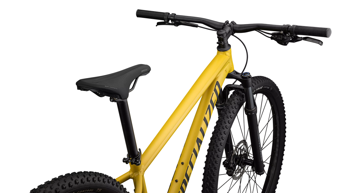 Rockhopper Expert (2024) - Satin Metallic Sulphur / Obsidian