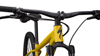 Rockhopper Expert (2024) - Satin Metallic Sulphur / Obsidian
