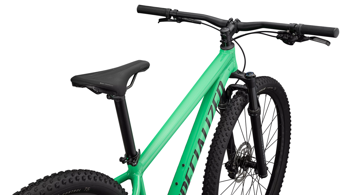 Rockhopper Expert (2024) - Gloss Electric Green / Dark Moss Green