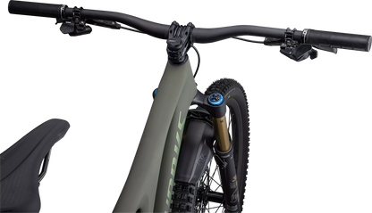 S-Works Stumpjumper LTD - Satin Oak Green / Oak Green Metallic / Gold Ghost Pearl