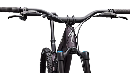 Stumpjumper 15 EVO Expert