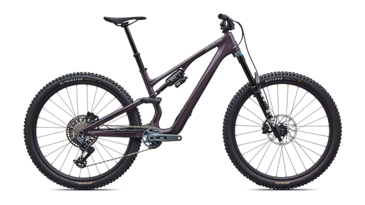 Stumpjumper 15 EVO Expert