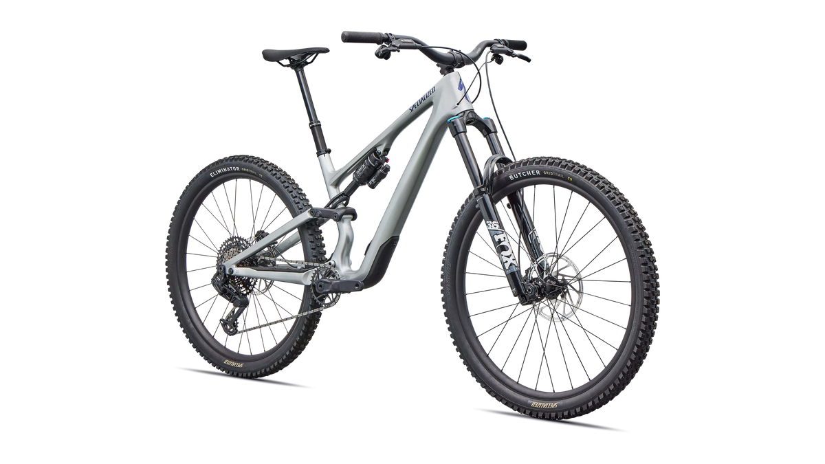 Stumpjumper 15 EVO Comp - Gloss Shadow Silver / Majesty Blue Metallic