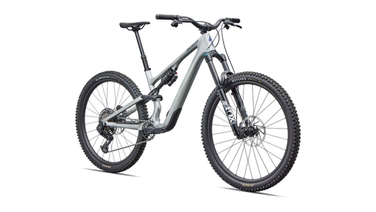 Stumpjumper 15 EVO Comp - Gloss Shadow Silver / Majesty Blue Metallic
