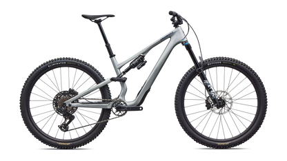 Stumpjumper 15 EVO Comp - Gloss Shadow Silver / Majesty Blue Metallic