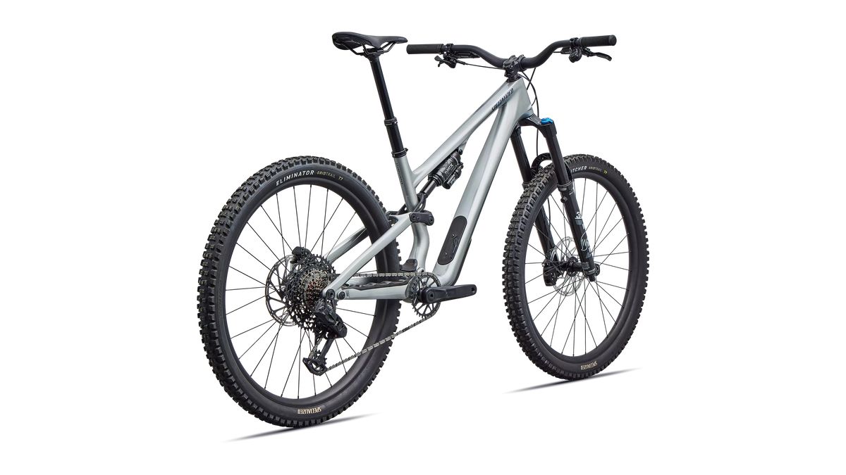 Stumpjumper 15 EVO Comp - Gloss Shadow Silver / Majesty Blue Metallic