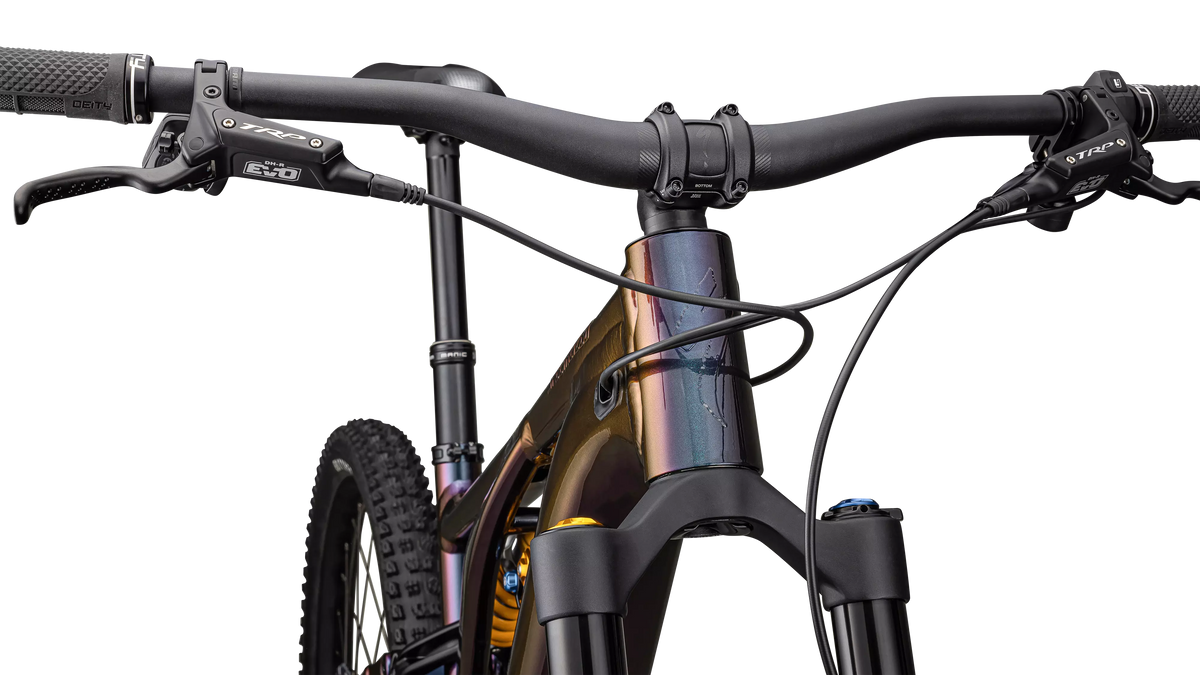Turbo Levo 3 Alloy Öhlins Coil LTD - Chameleon