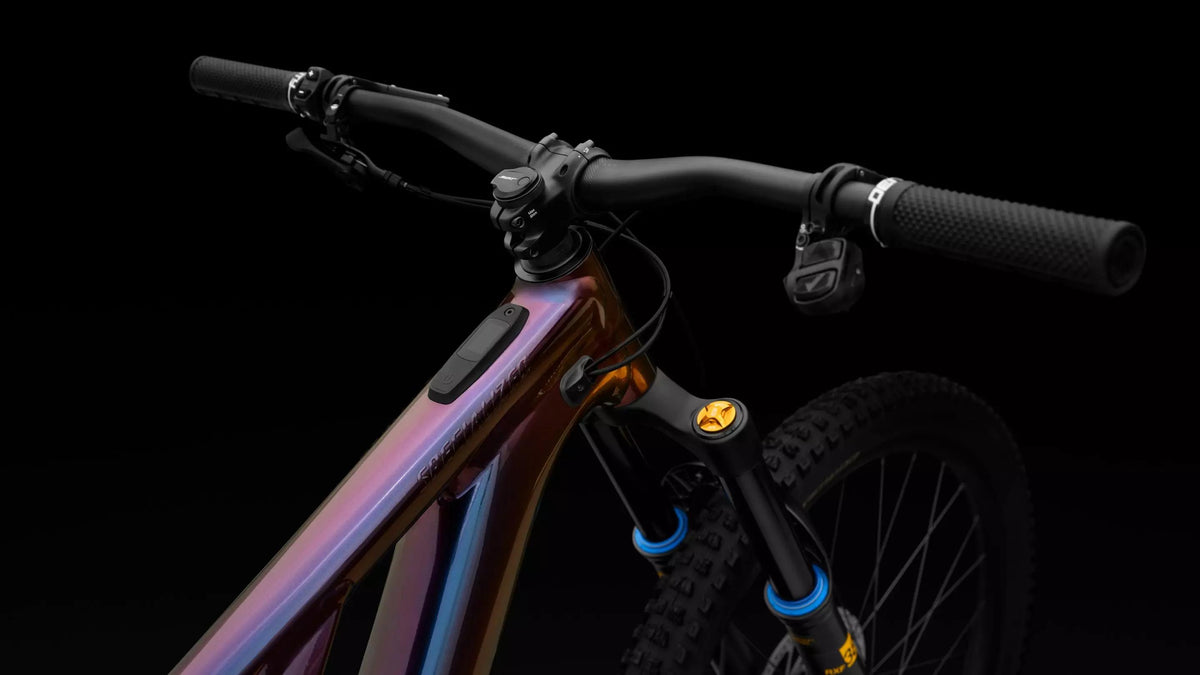 Turbo Levo 3 Alloy Öhlins Coil LTD - Chameleon