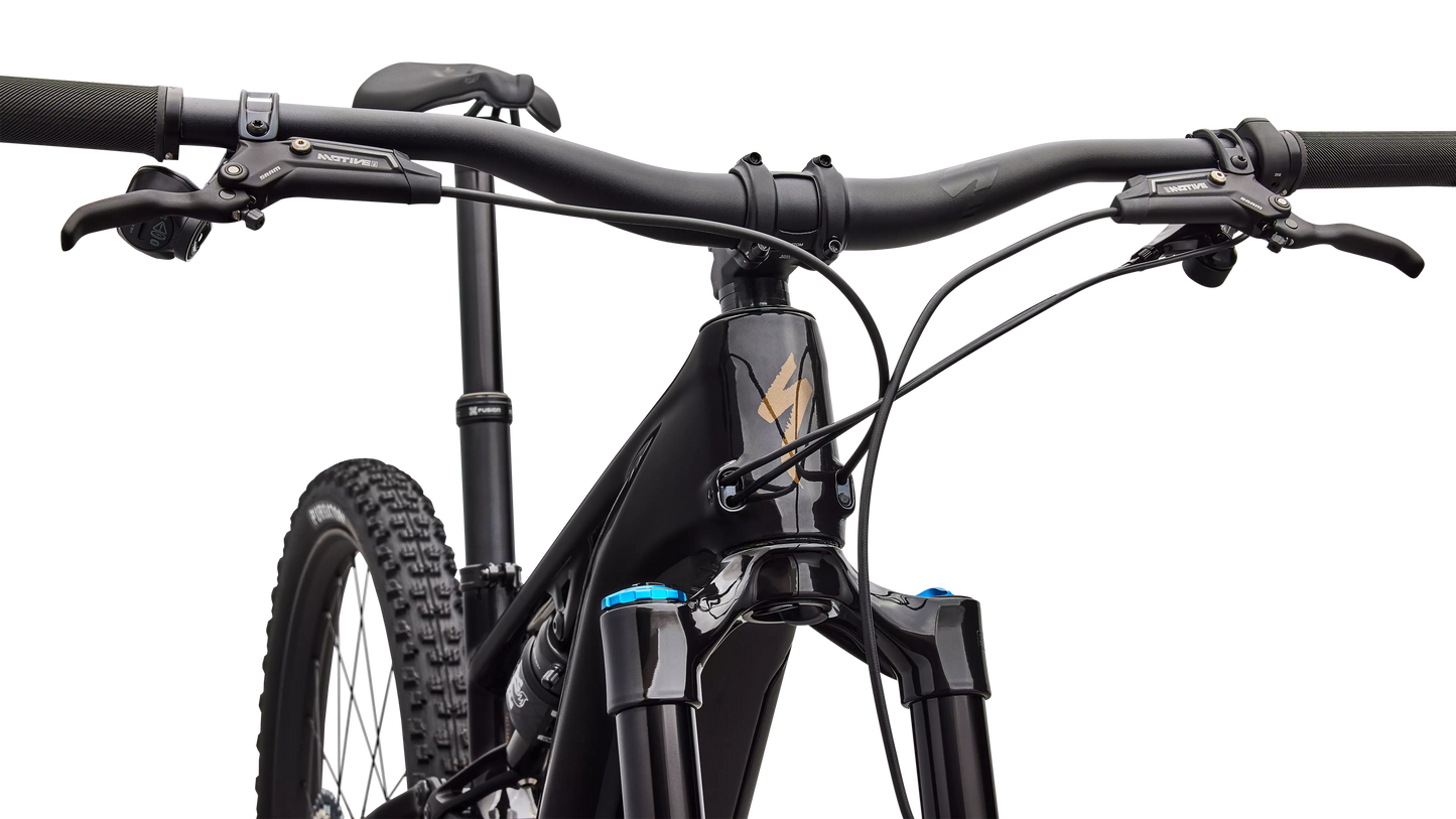 Turbo Levo R Expert