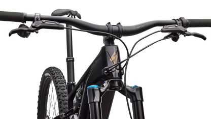Turbo Levo R Expert