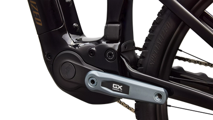 Turbo Levo R Expert