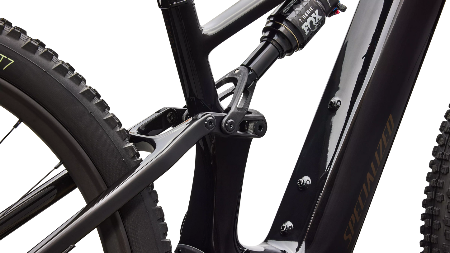 Turbo Levo R Expert