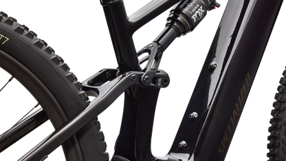 Turbo Levo R Expert