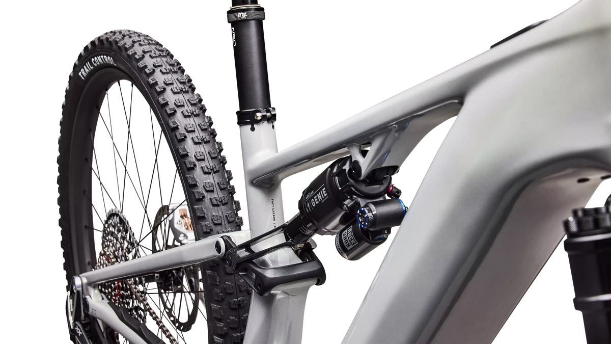 S-Works Turbo Levo R (2027) - Gloss Dolomite Metallic / Chameleon Silver Green / Oak Green Metallic