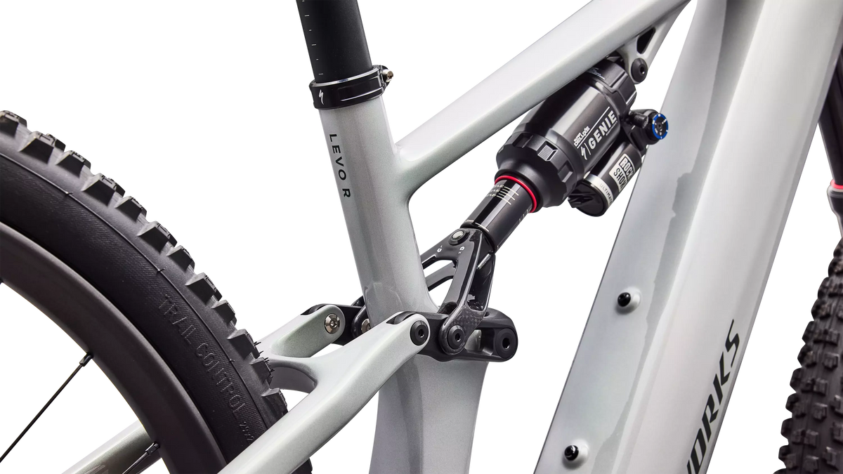 S-Works Turbo Levo R (2027) - Gloss Dolomite Metallic / Chameleon Silver Green / Oak Green Metallic