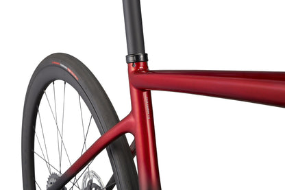 S-Works Turbo Creo SL