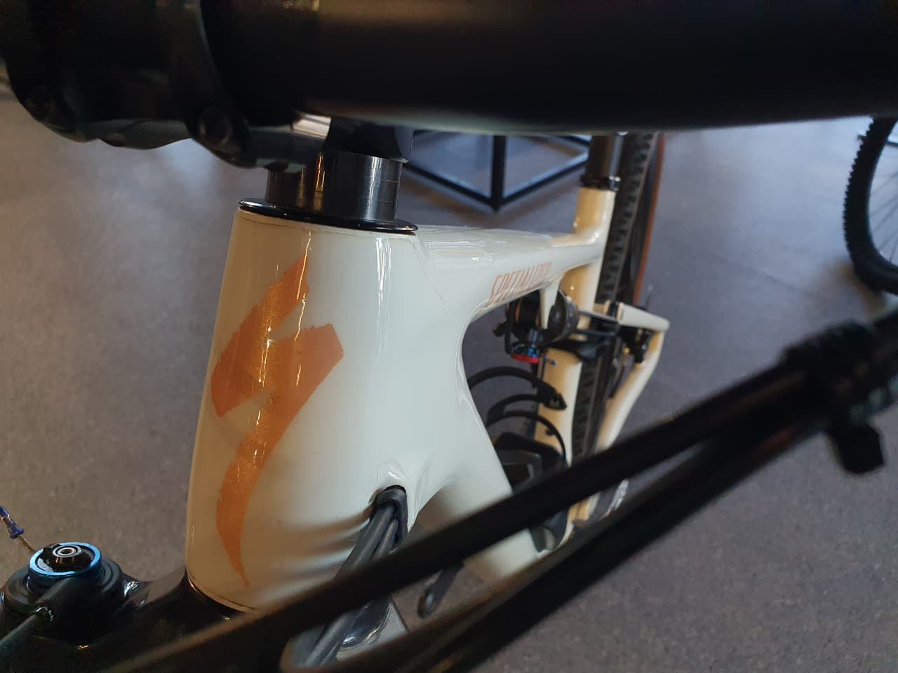 Specialized Epic Evo Pro