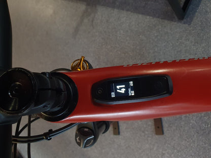 Specialized Turbo Levo Pro G3 (Custom)