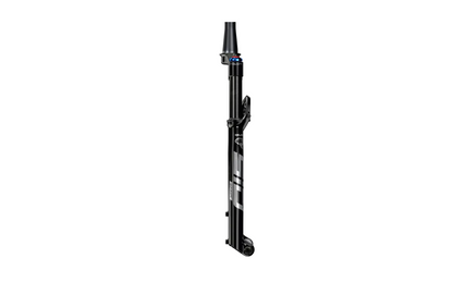 Specialized SID SL Ultimate BRAIN Fork 2.0